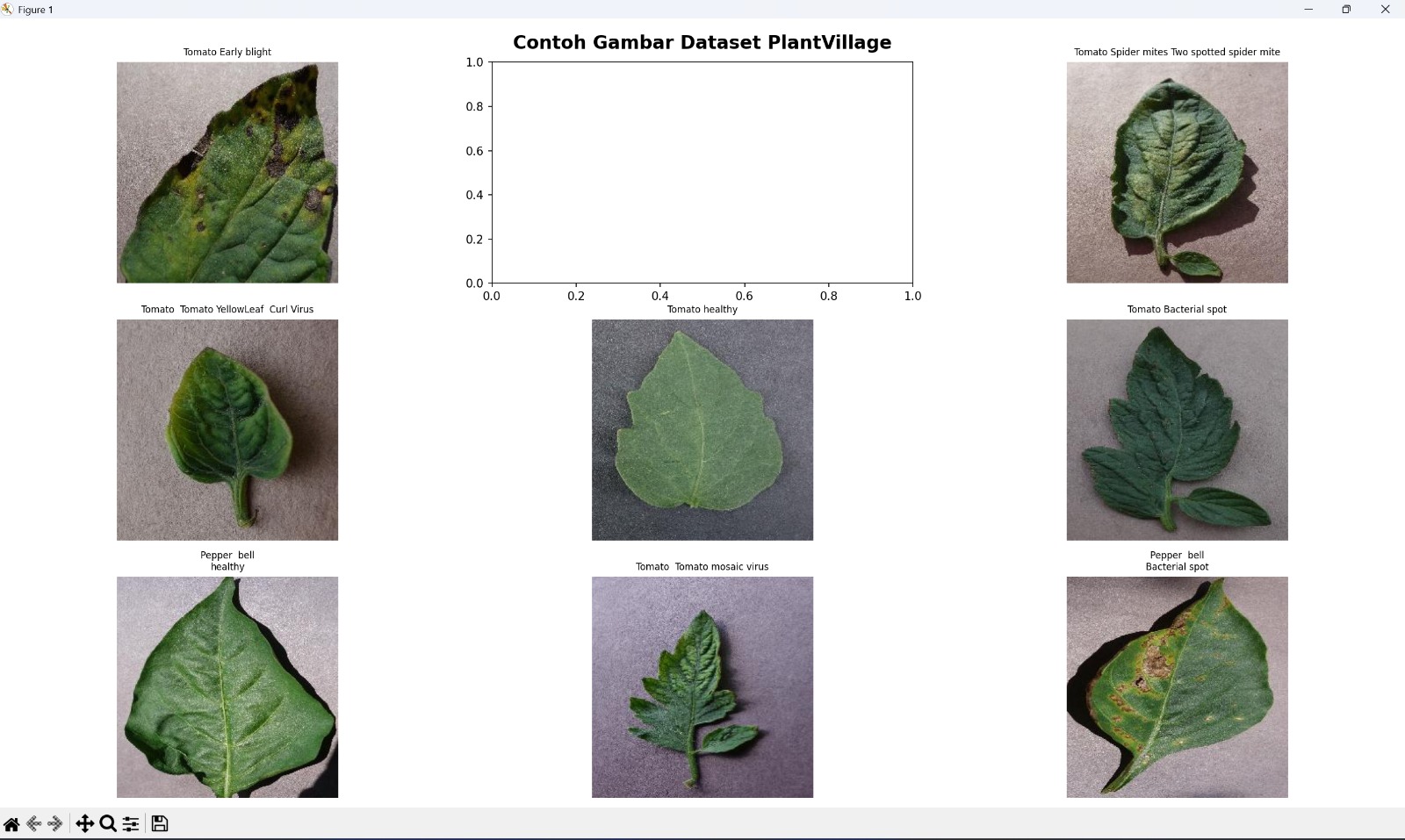 PlantVillage dataset sample images