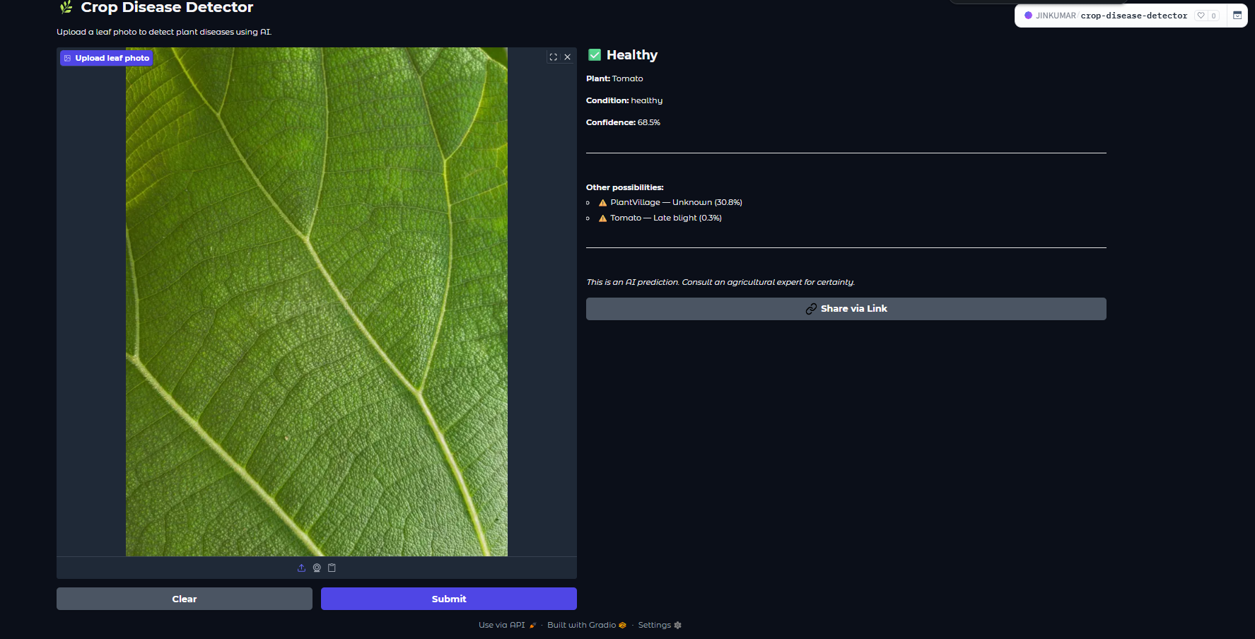 Healthy leaf prediction result